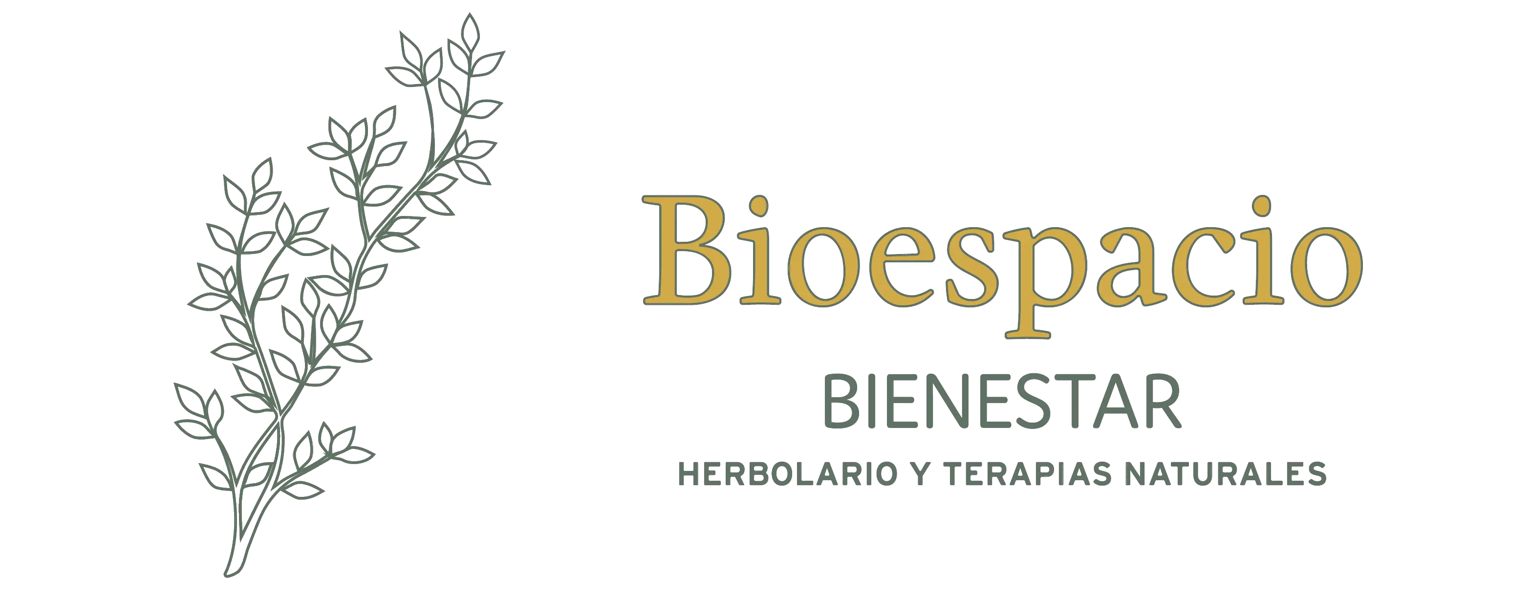 Logotipo de BioSpace - Centro de bienestar natural