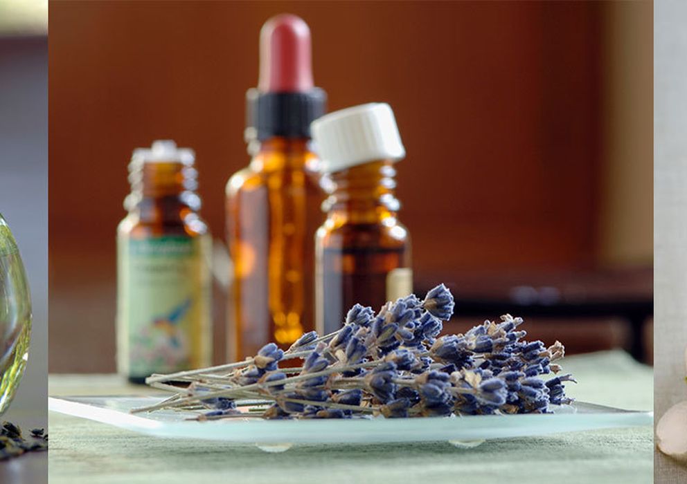 Aceites Vegetales en la Belleza Natural