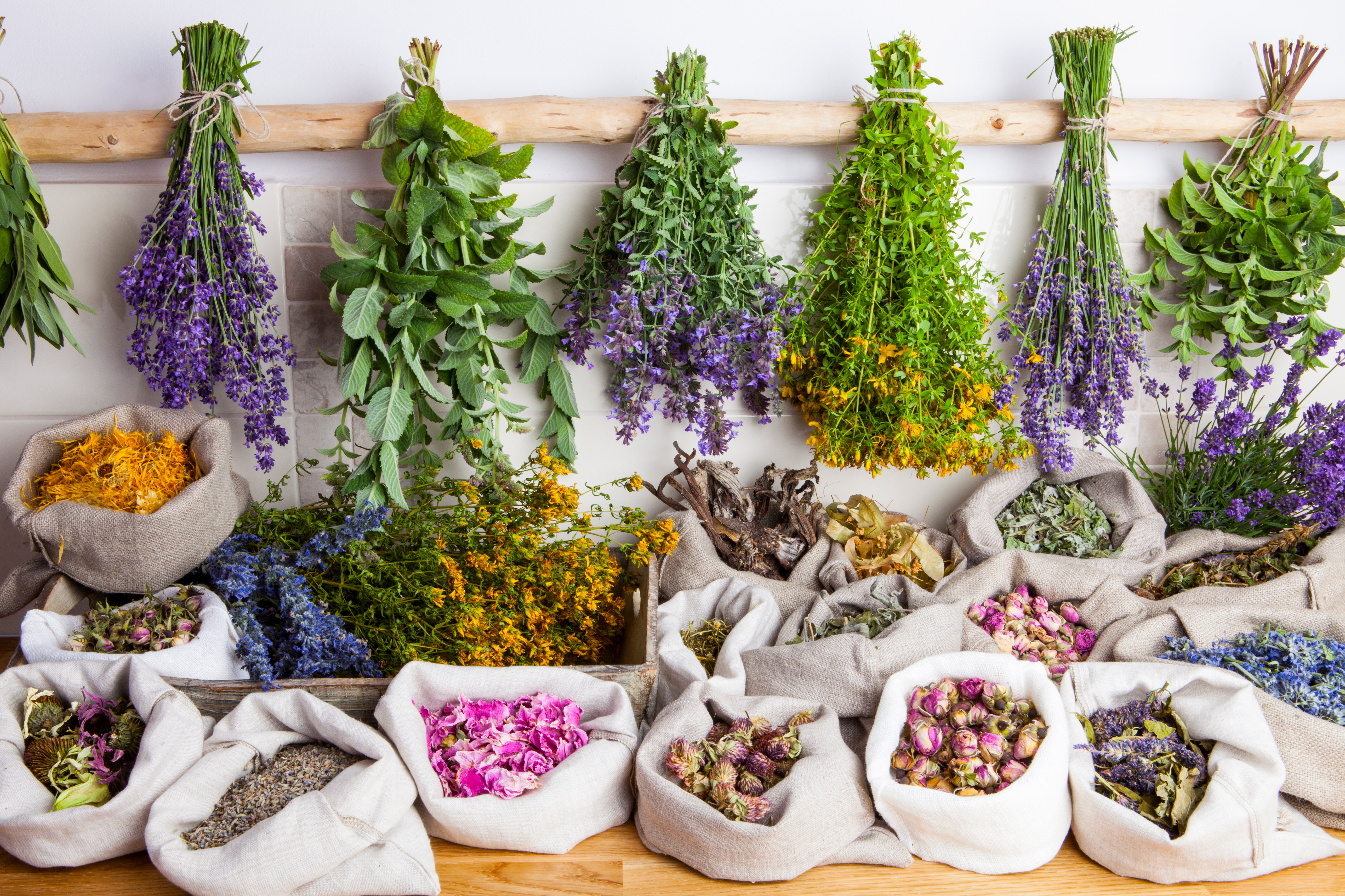 Fitoterapia para la Salud Mental