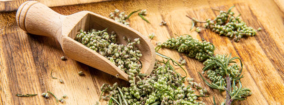 Plantas para la Salud Femenina